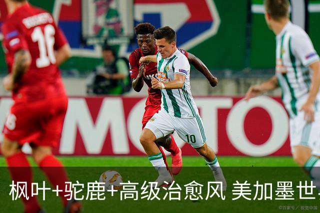 枫叶+驼鹿+高级治愈风 美加墨世界杯加拿大赛区开幕